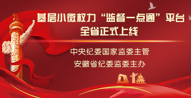 基层小微权力“监督一点通”平台全省正式上线
