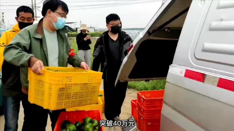 【奋斗者·正青春】驻村书记 孟硕